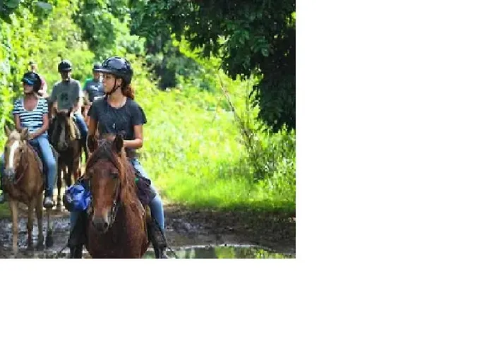 Playa De Ris Campingplatz *